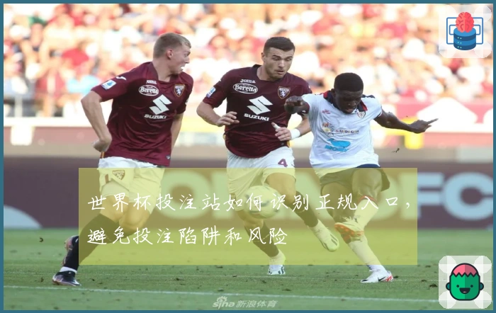 世界杯投注站如何识别正规入口，避免投注陷阱和风险