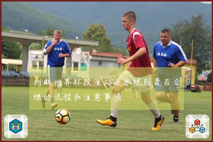 判断世界杯投注站返水规则是否合理的流程和注意事项