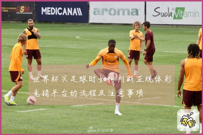世界杯买足球时如何判断正规体彩竞猜平台的流程及注意事项
