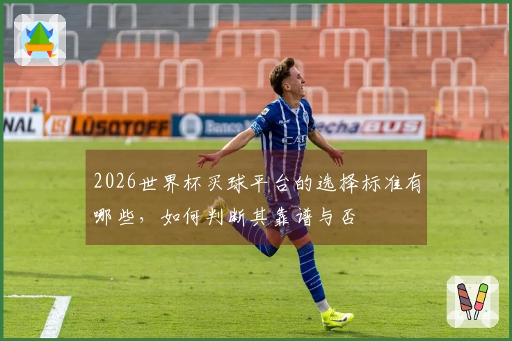 2026世界杯买球平台的选择标准有哪些，如何判断其靠谱与否