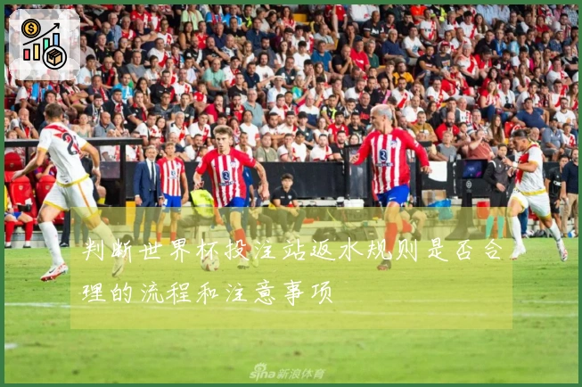 判断世界杯投注站返水规则是否合理的流程和注意事项