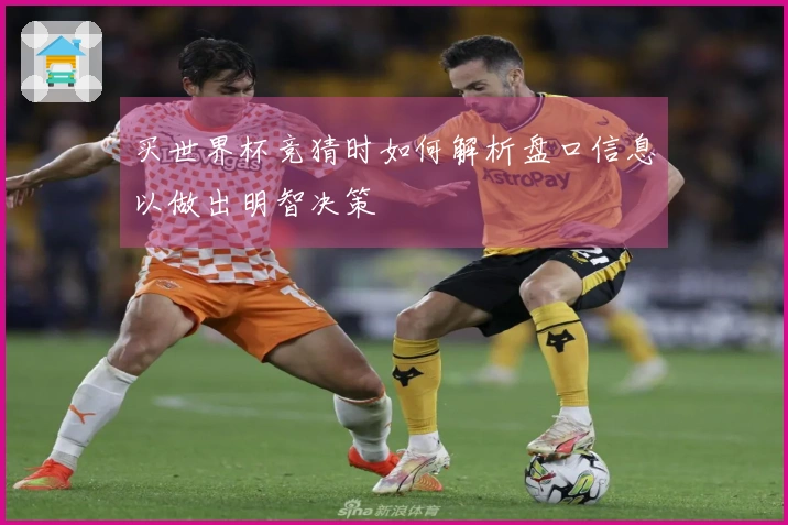 买世界杯竞猜时如何解析盘口信息以做出明智决策