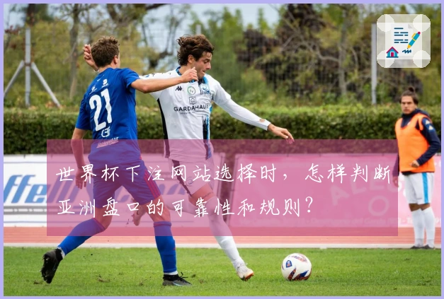 世界杯下注网站选择时,怎样判断亚洲盘口的可靠性和规则?