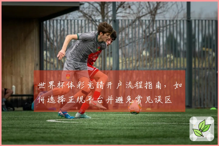 世界杯体彩竞猜开户流程指南，如何选择正规平台并避免常见误区