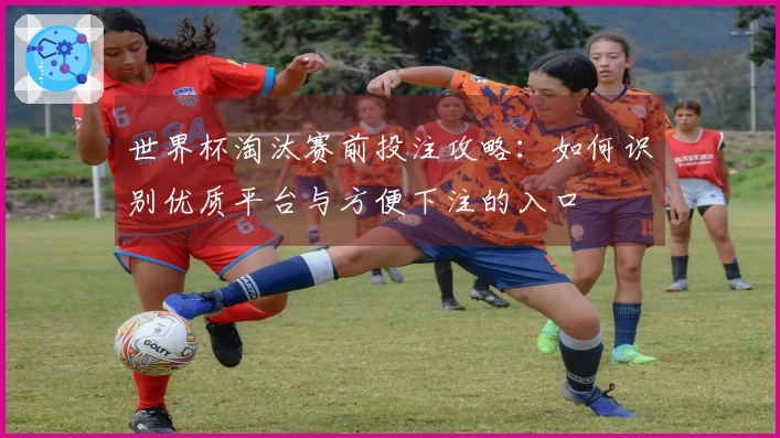 世界杯淘汰赛前投注攻略：如何识别优质平台与方便下注的入口