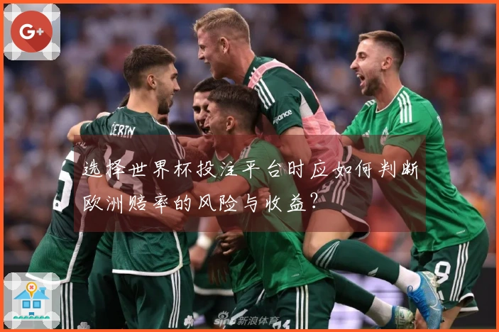 选择世界杯投注平台时应如何判断欧洲赔率的风险与收益？