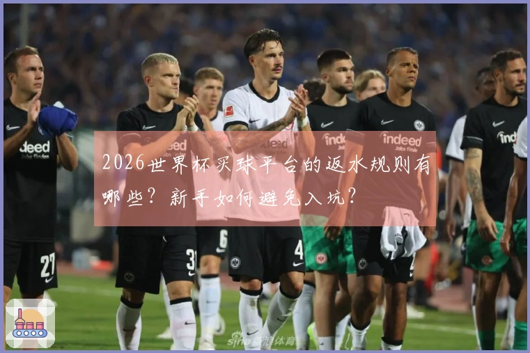 2026世界杯买球平台的返水规则有哪些？新手如何避免入坑？