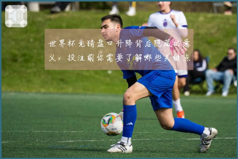 世界杯竞猜盘口升降背后隐藏的意义,投注前你需要了解哪些关键点?