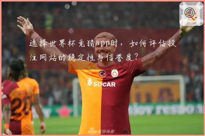 选择世界杯竞猜app时，如何评估投注网站的稳定性与信誉度？