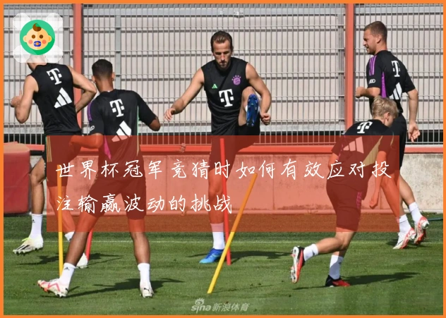 世界杯冠军竞猜时如何有效应对投注输赢波动的挑战