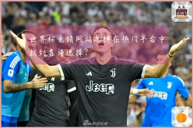世界杯竞猜网站怎样在热门平台中找到靠谱选择？