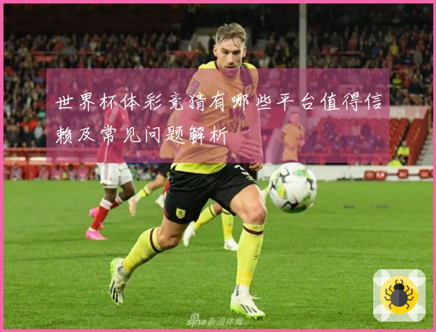 世界杯体彩竞猜有哪些平台值得信赖及常见问题解析