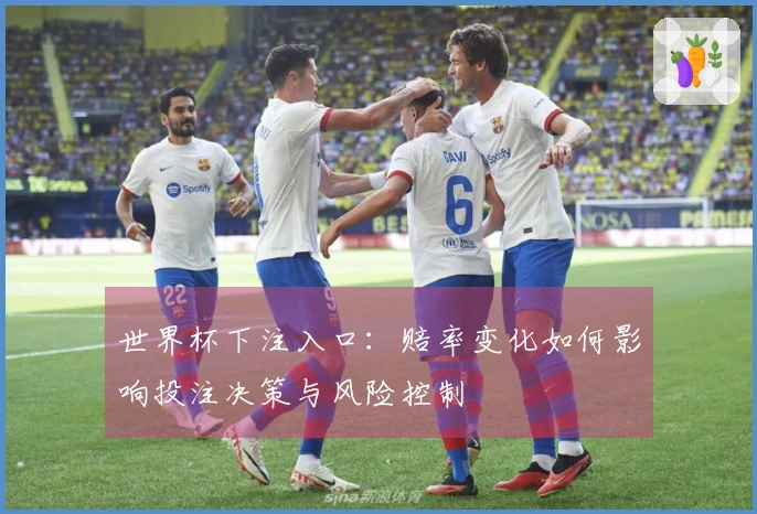 世界杯下注入口:赔率变化如何影响投注决策与风险控制