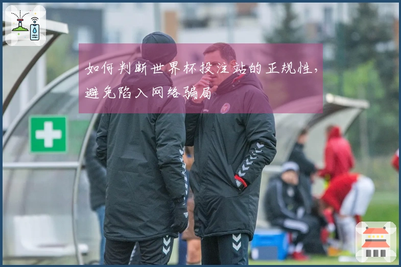 如何判断世界杯投注站的正规性，避免陷入网络骗局