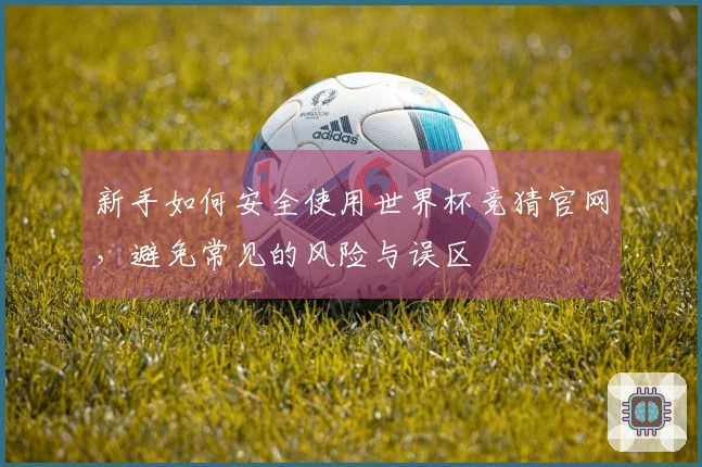 新手如何安全使用世界杯竞猜官网，避免常见的风险与误区
