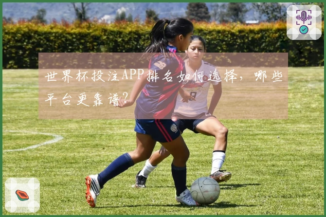 世界杯投注APP排名如何选择，哪些平台更靠谱？