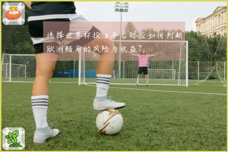 选择世界杯投注平台时应如何判断欧洲赔率的风险与收益？