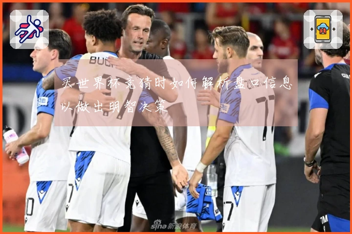 买世界杯竞猜时如何解析盘口信息以做出明智决策