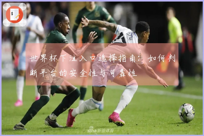 世界杯下注入口选择指南：如何判断平台的安全性与可靠性