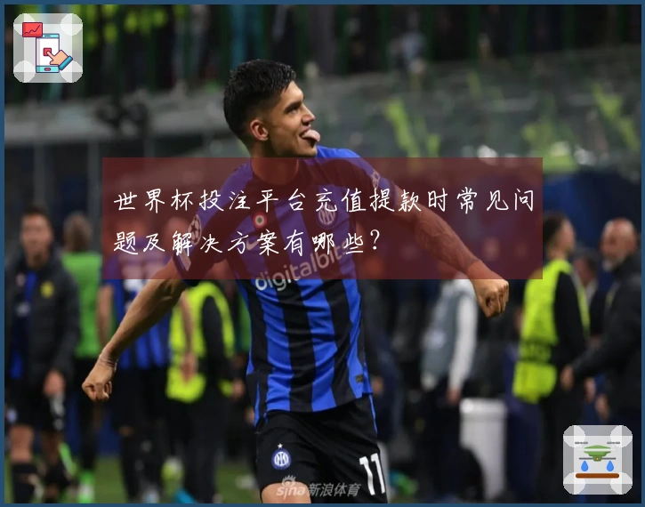 世界杯投注平台充值提款时常见问题及解决方案有哪些？