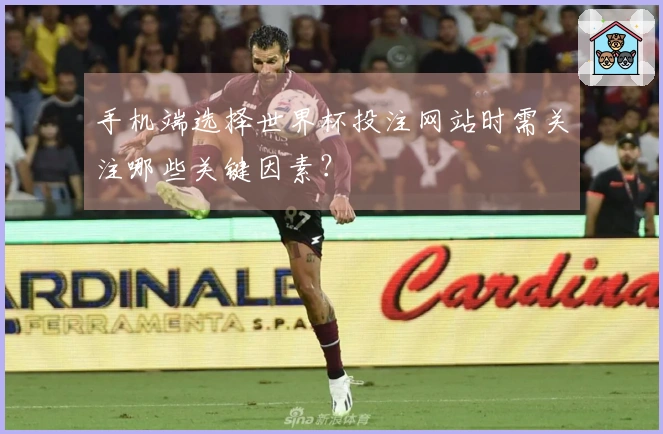 手机端选择世界杯投注网站时需关注哪些关键因素?