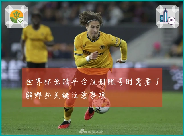 世界杯竞猜平台注册账号时需要了解哪些关键注意事项
