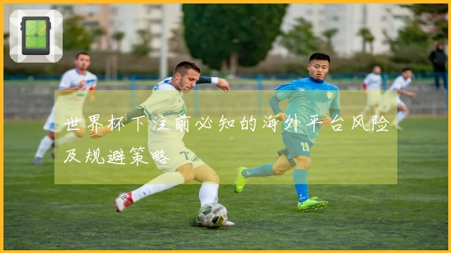 世界杯下注前必知的海外平台风险及规避策略