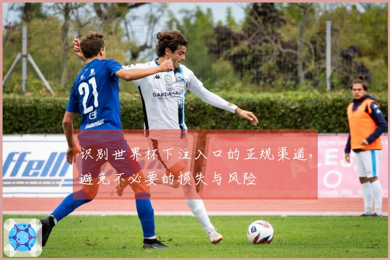 识别世界杯下注入口的正规渠道，避免不必要的损失与风险